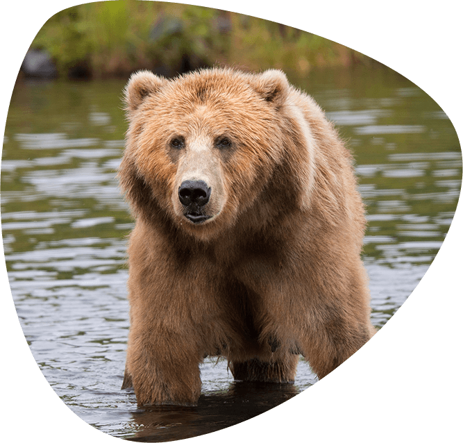 home_animals2_education1